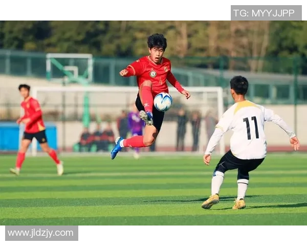 独家分析：南京足球队的力量对比